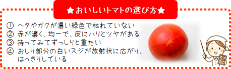 おいしいトマトの選び方